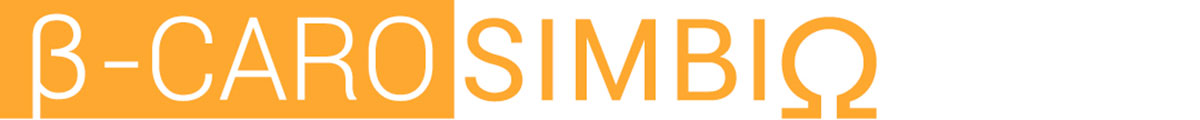 B-CAROSIMBI&Omega;